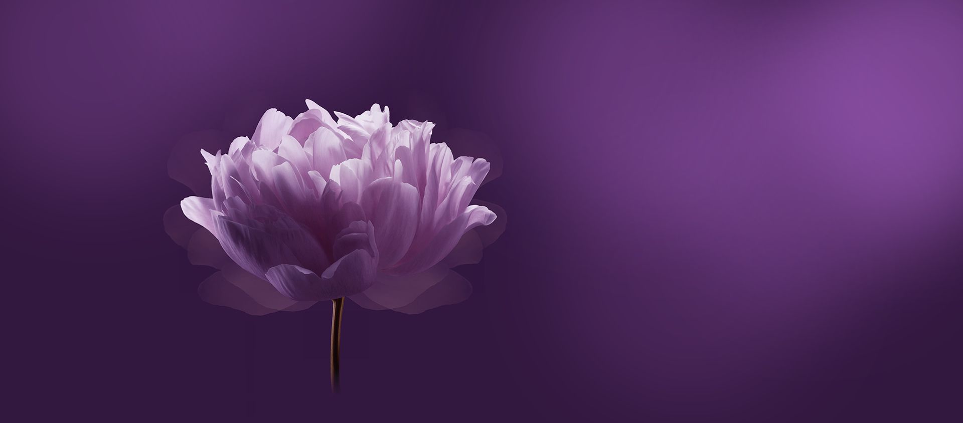 J' F A N C Y    B E A U T É -婕凡希美粧